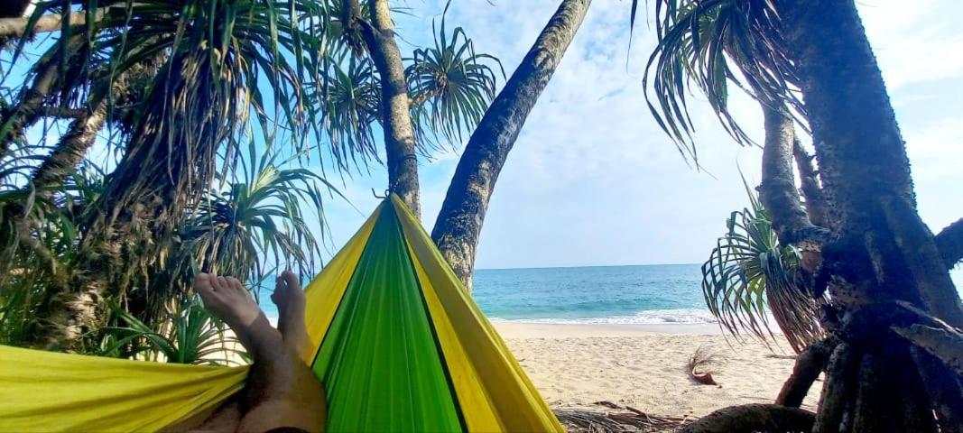 Eco Cabanas Marakolliya 탕갈레 외부 사진