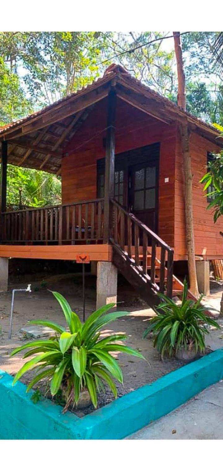 Eco Cabanas Marakolliya 탕갈레 외부 사진