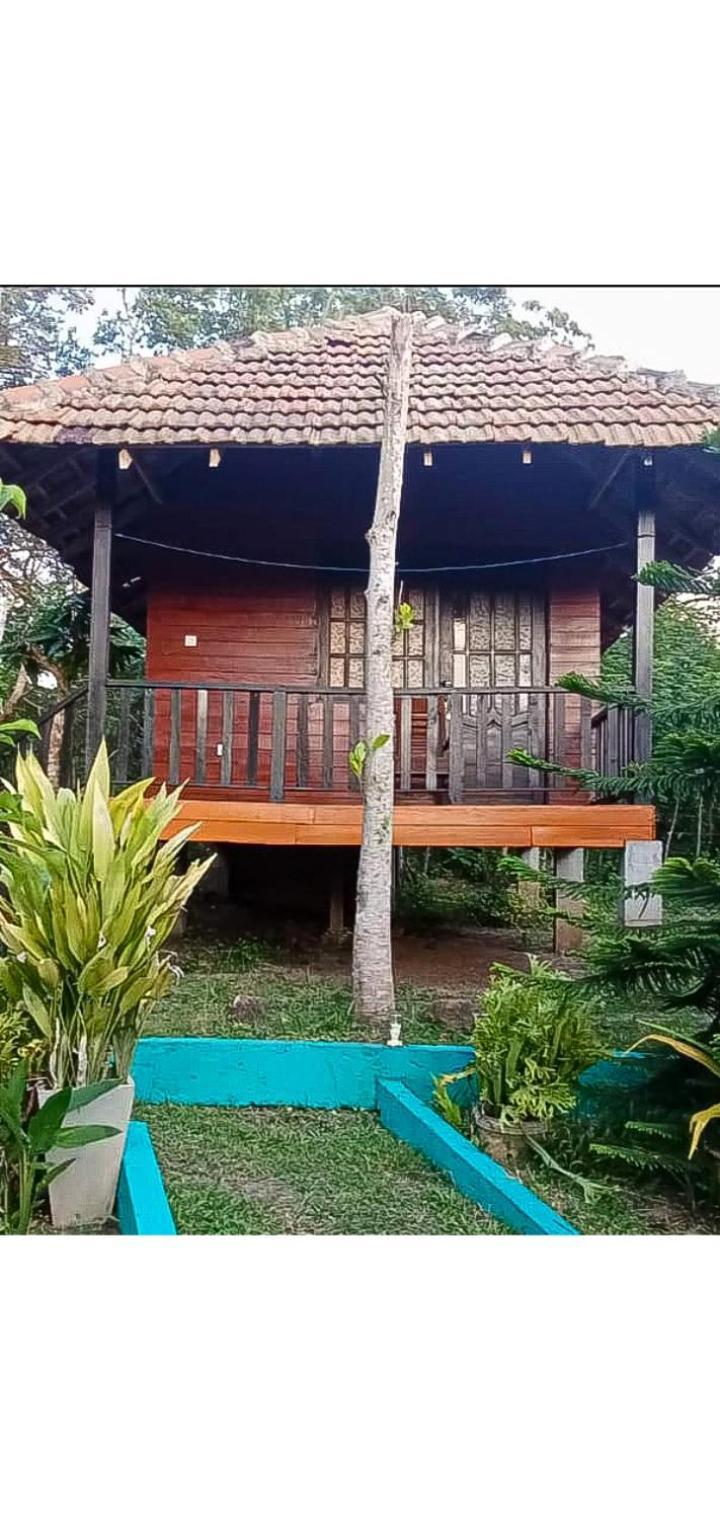 Eco Cabanas Marakolliya 탕갈레 외부 사진