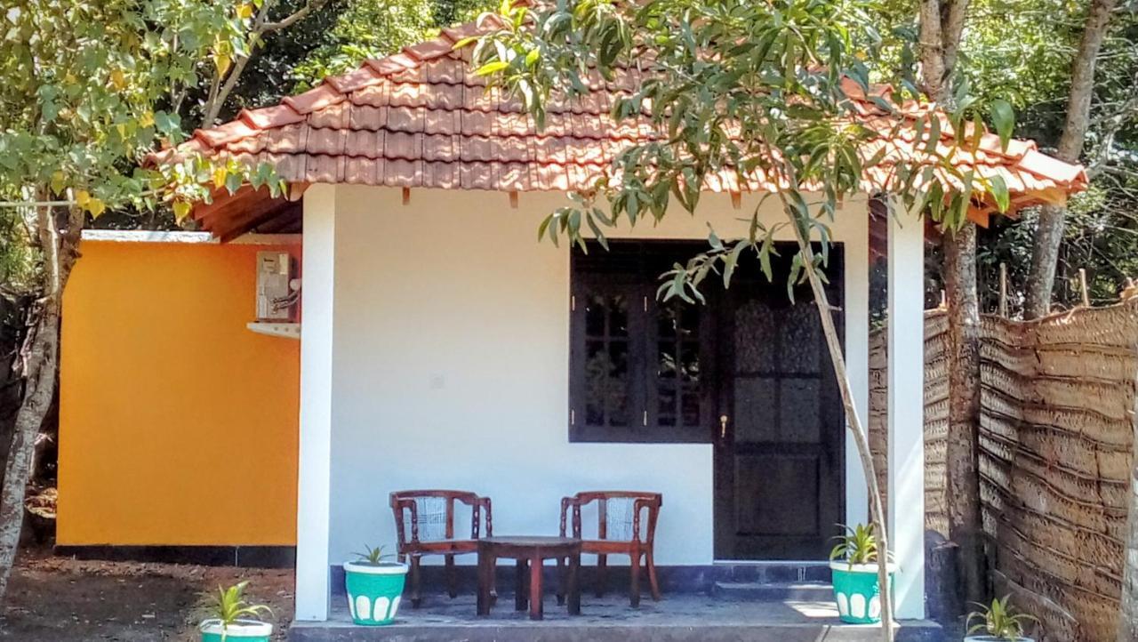 Eco Cabanas Marakolliya 탕갈레 외부 사진